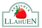 logos (5)