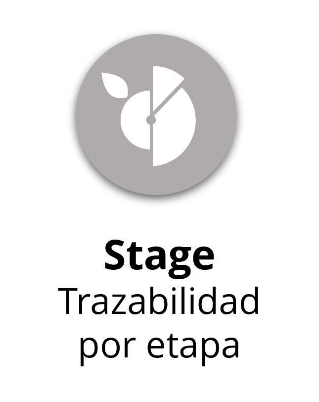 Stage